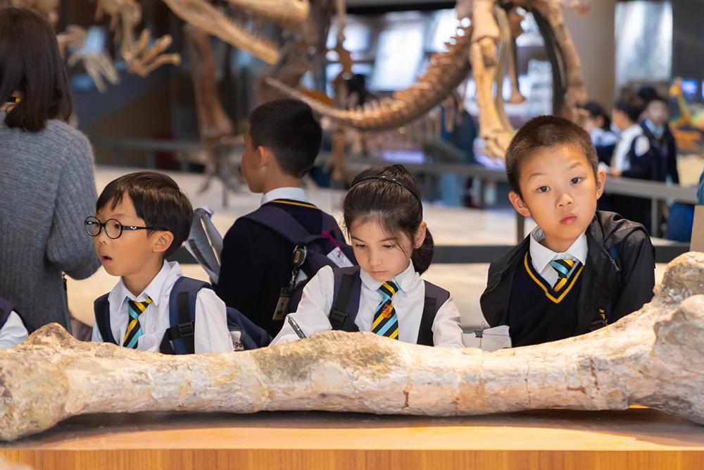 20231114-Field-trip-to-the-Natural-History-Museum-IMG_8909.jpg